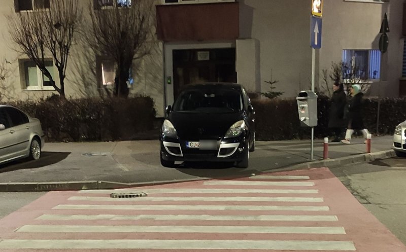 "Se putea și mai rău" / "Nu cred..." / "Era prea frig să deschidă geamul ca s-o urce în sufragerie"