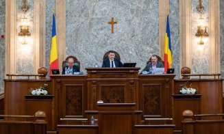 Mircea Abrudean, apel pentru senatorii din opoziție: „Să voteze cu maturitate politică, pentru siguranța românilor, a copiilor și nepoților noștri”