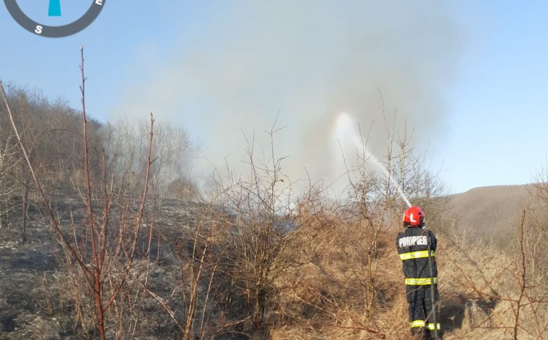 Incendii de vegetație devastatoare în județul Cluj: Opt intervenții ale pompierilor într-o singură zi