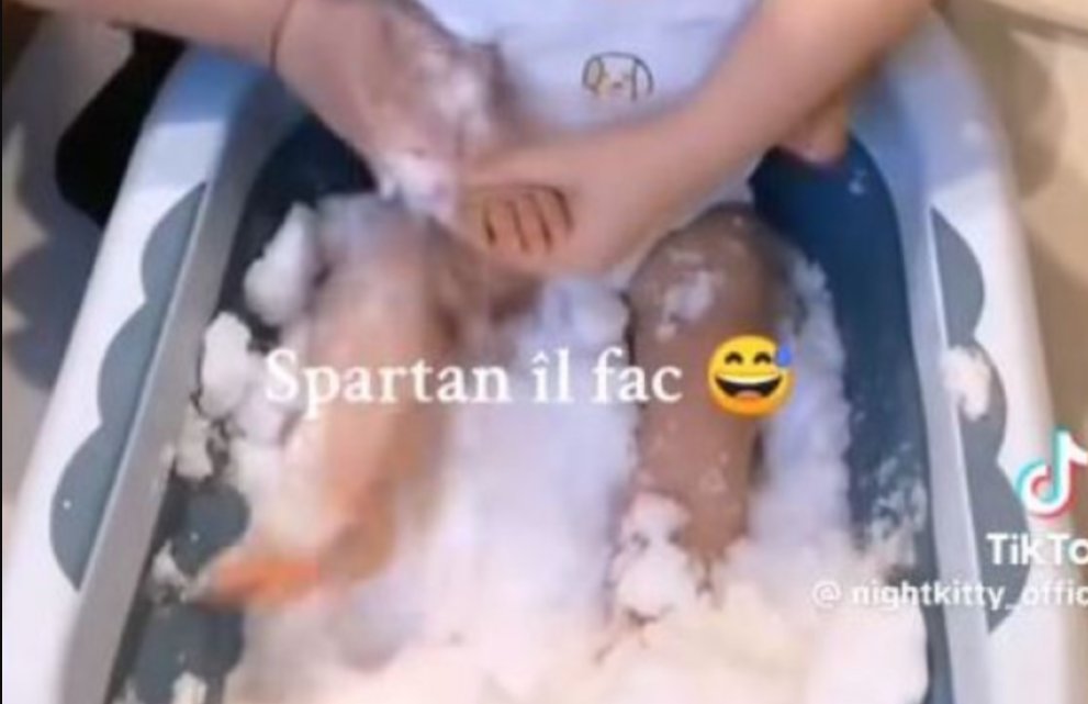 Controverse pe TikTok: O mamă și-a băgat bebelușul într-o cadă cu zăpadă. Ce spun autoritățile