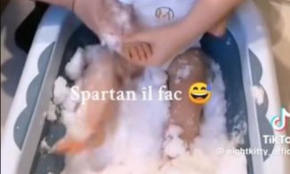 Controverse pe TikTok: O mamă și-a băgat bebelușul într-o cadă cu zăpadă. Ce spun autoritățile