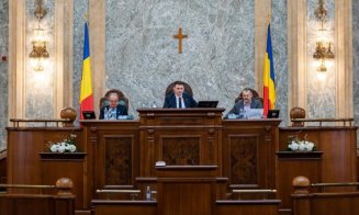 Mircea Abrudean: „Parlamentarii partidelor extremiste vor să aducă țara într-o criză profundă, să genereze haos și dezordine”