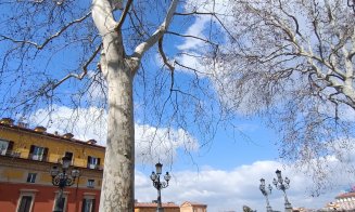 Bologna pe low-cost! O idee de city-break, cu zbor de pe aeroportul din Cluj-Napoca