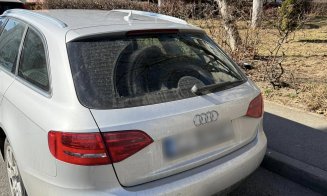 Oglindă, oglinjoară, care-i mai spartă din ţară? De fapt de pe Grigore Alexandrescu, din Mănăştur