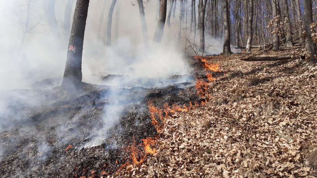 Incendiu devastator în Cluj: Peste cinci hectare de pășune și pădure în flăcări