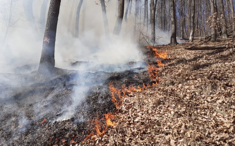 Incendiu devastator în Cluj: Peste cinci hectare de pășune și pădure în flăcări