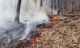 Incendiu devastator în Cluj: Peste cinci hectare de pășune și pădure în flăcări