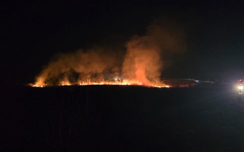 Incendiu de vegetație la Mărtinești