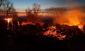 TEREN ARS = ADIO subvenţii de la APIA / Mesaj din Tureni pentru fermierii leneşi: "Nesimțirea trebuie să se oprească!"