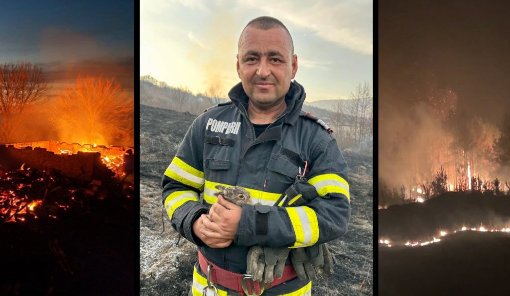 "Omule nu mai da foc, că suntem și noi în joc!"