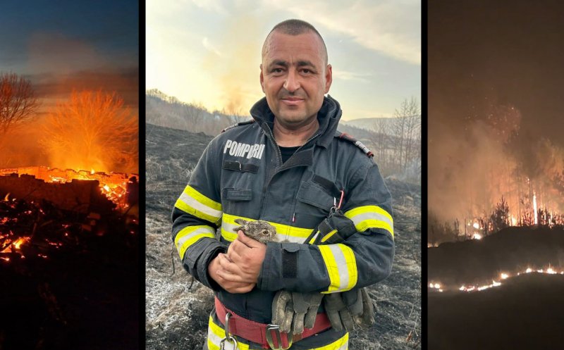 "Omule nu mai da foc, că suntem și noi în joc!"