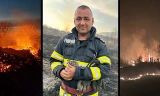 "Omule nu mai da foc, că suntem și noi în joc!"