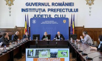 Întâlnire a Comitetului Județean pentru Combaterea Bolilor, cu prefectul. Ce măsuri s-au luat pentru prevenirea febrei aftoase