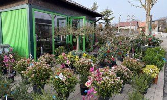A venit primăvara la Garden Point by Eco Garden Construct, "hypermarket-ul" de plante de pe Calea Turzii