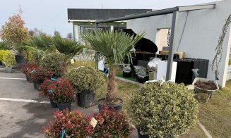 A venit primăvara la Garden Point by Eco Garden Construct, "hypermarket-ul" de plante de pe Calea Turzii
