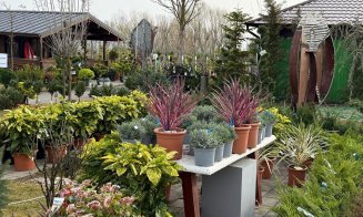 A venit primăvara la Garden Point by Eco Garden Construct, "hypermarket-ul" de plante de pe Calea Turzii