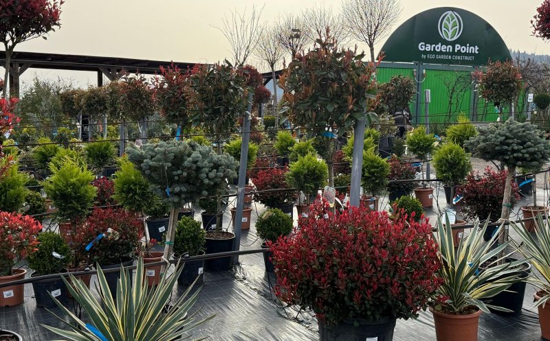 A venit primăvara la Garden Point by Eco Garden Construct, "hypermarket-ul" de plante de pe Calea Turzii