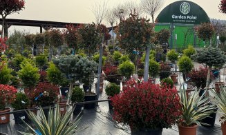 A venit primăvara la Garden Point by Eco Garden Construct, "hypermarket-ul" de plante de pe Calea Turzii