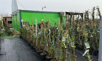 A venit primăvara la Garden Point by Eco Garden Construct, "hypermarket-ul" de plante de pe Calea Turzii