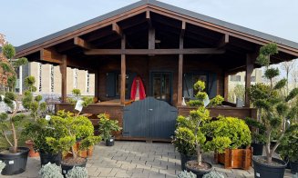 A venit primăvara la Garden Point by Eco Garden Construct, "hypermarket-ul" de plante de pe Calea Turzii