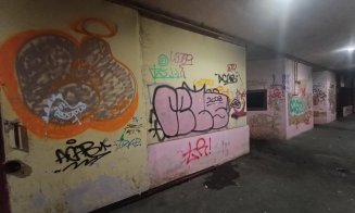 Cum arată pasajul pietonal INFECT de pe strada Primăverii din Mănăştur / Fecale, urină, foste dughene incendiate și mizerie cât vezi cu ochii