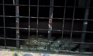 Cum arată pasajul pietonal INFECT de pe strada Primăverii din Mănăştur / Fecale, urină, foste dughene incendiate și mizerie cât vezi cu ochii