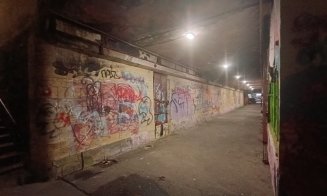 Cum arată pasajul pietonal INFECT de pe strada Primăverii din Mănăştur / Fecale, urină, foste dughene incendiate și mizerie cât vezi cu ochii