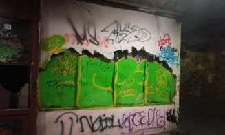 Cum arată pasajul pietonal INFECT de pe strada Primăverii din Mănăştur / Fecale, urină, foste dughene incendiate și mizerie cât vezi cu ochii