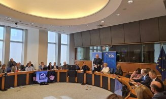 Europarlamentarul clujean Vasile Dîncu: „Paradoxul demografiei din ultimele decenii este că, pe măsură ce nivelul de trai crește, numărul de copii scade”