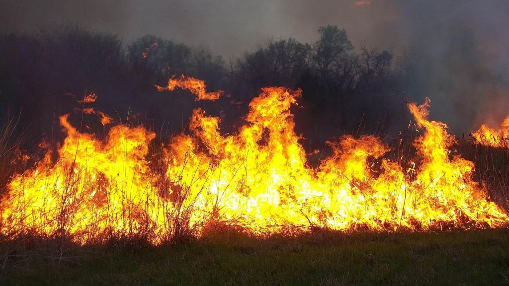 Tren plecat de la Cluj-Napoca, nevoit să oprească în câmp din cauza unui incendiu de vegetație