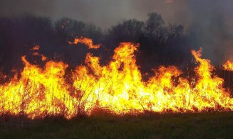 Tren plecat de la Cluj-Napoca, nevoit să oprească în câmp din cauza unui incendiu de vegetație