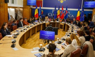 Primarul Boc, întâlnire cu reprezentanții autorităților din Norvegia și Islanda
