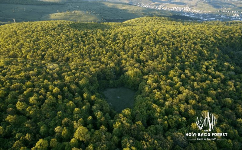 Ce se face în 2025 la proiectul inelului verde metropolitan al Clujului / Primăria vrea includerea Pădurii Hoia în Situl Natura 2000 