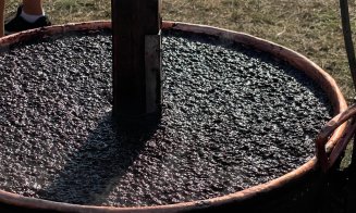 Antreprenoriat la sat cu plăcinte, magiun şi rock pe dealurile Clujului, la Vultureni sau Bobâlna