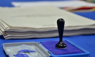 Guvernul a aprobat hotărârile privind organizarea alegerilor parțiale din 4 mai. Locuitorii din Valea Ierii vor merge din nou la urne