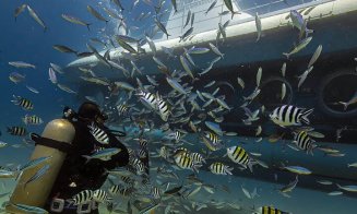 6 turiști au murit după scufundarea submarinului Sindbad în largul stațiunii Hurghada din Egipt