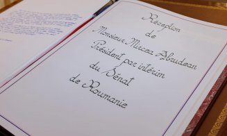 Președintele interimar al Senatului, Mircea Abrudean, s-a întâlnit cu președintele Senatului francez. Despre ce au discutat