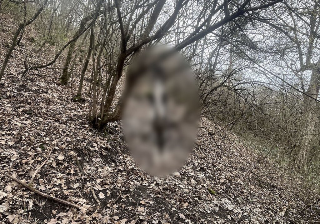 Anchetă în cazul căţeluşei spânzurate în Dej / Cadavrul a fost deshumat pentru a fi efectuată necropsia