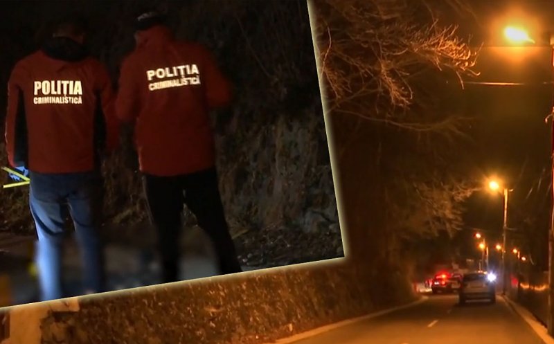 Cazul salvamontistului sfâşiat de urs: Cumnatul victimei - "Unde sunt tomberoanele i-a ieşit ursoaica în faţă..." / Primarul din Predeal - "Nu are nicio legătură cu ghenele de gunoi. Noi ne-am făcut treaba..."