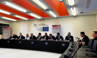 Europarlamentarul clujean Vasile Dîncu: „Ce soluții concrete are Europa pentru comunitatea romă?”