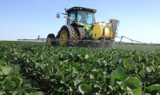 Sprijin de la Guvern în valoare de 342 milioane lei pentru agricultori