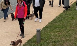Spectacol adorabil în Cluj: Cățeii teckel și stăpânii lor au făcut o plimbare pe malurile Someșului