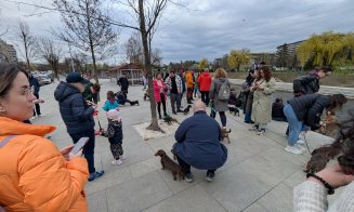 Spectacol adorabil în Cluj: Zeci de căței teckel și stăpânii lor au făcut o plimbare pe malurile Someșului