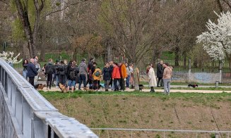 Spectacol adorabil în Cluj: Zeci de căței teckel și stăpânii lor au făcut o plimbare pe malurile Someșului