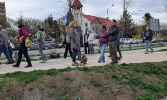 Spectacol adorabil în Cluj: Zeci de căței teckel și stăpânii lor au făcut o plimbare pe malurile Someșului