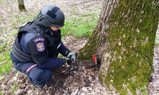 Muniție neexplodată din timpul războiului, găsită într-o pădure. Ce este de făcut în astfel de situații