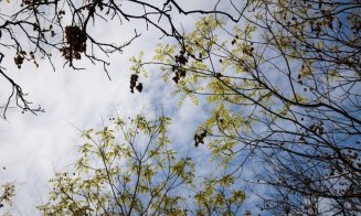 Meteorologii au actualizat prognoza! Cum va fi vremea de Florii și în Săptămâna Mare
