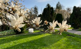 Duminica Floriilor, în Grădina Botanică din Cluj-Napoca. Vor fi 18 grade Celsius