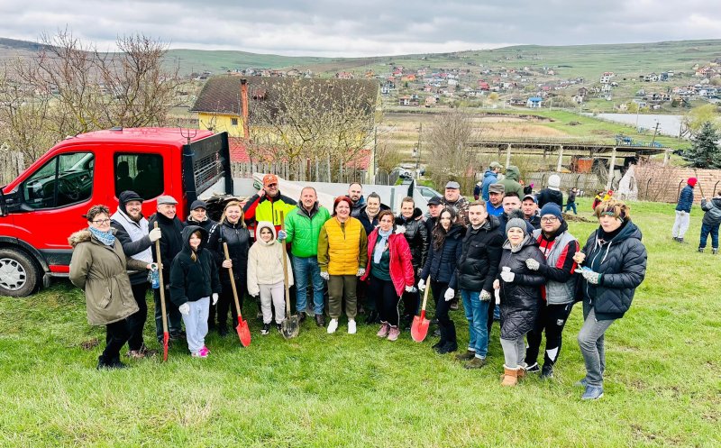 O localitate din Cluj devine mai verde: 200 de voluntari au plantat puieți de salcâm pentru viitoarea pădure