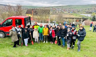 O localitate din Cluj devine mai verde: 200 de voluntari au plantat puieți de salcâm pentru viitoarea pădure